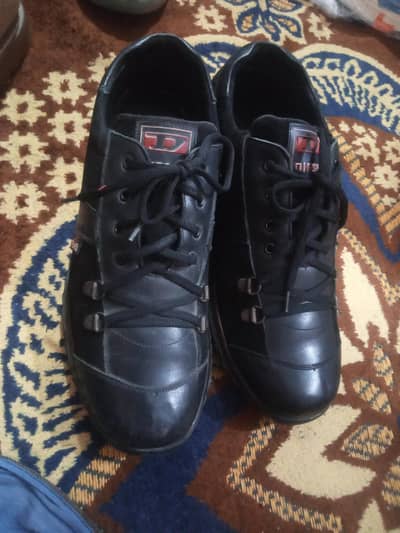 Diesel company