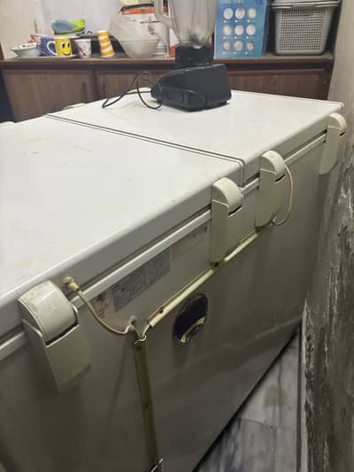 Haier d freezer