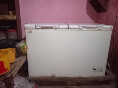 pel used freezer in best condition