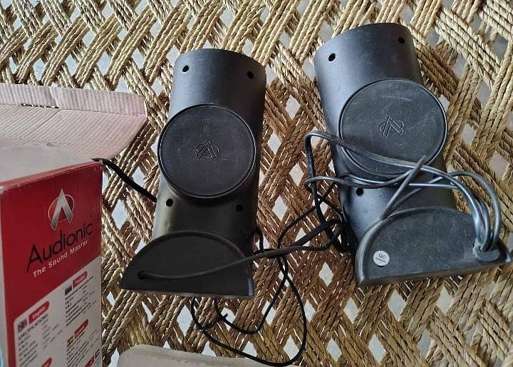 Audionic woofer 3