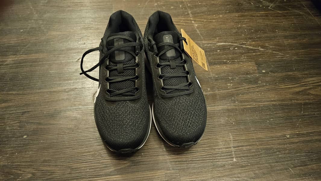 Nike winflo 2