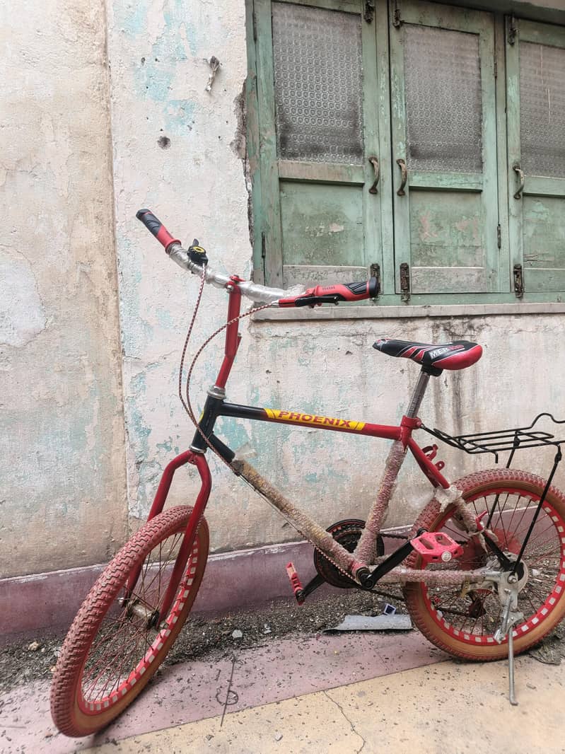 Bicycle 1