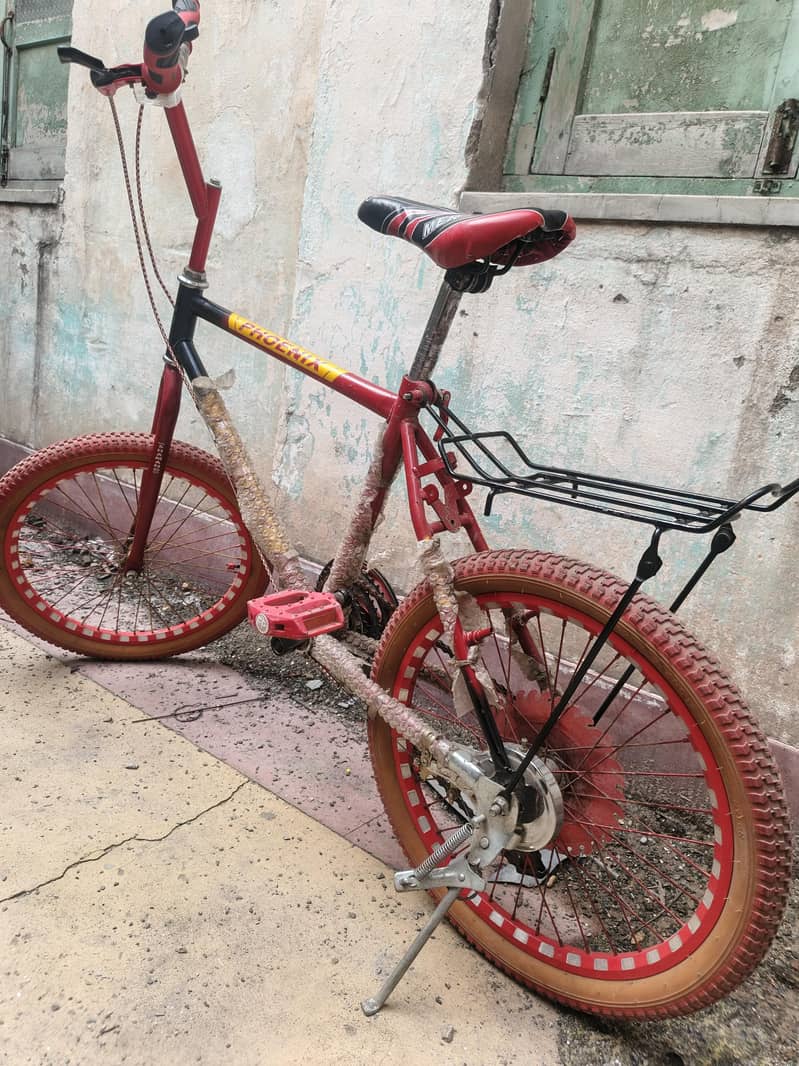 Bicycle 5