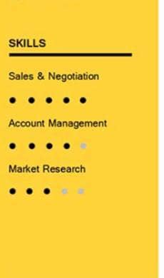 Professional CV Design Sialkot
