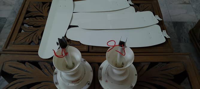 Royal ceiling fans