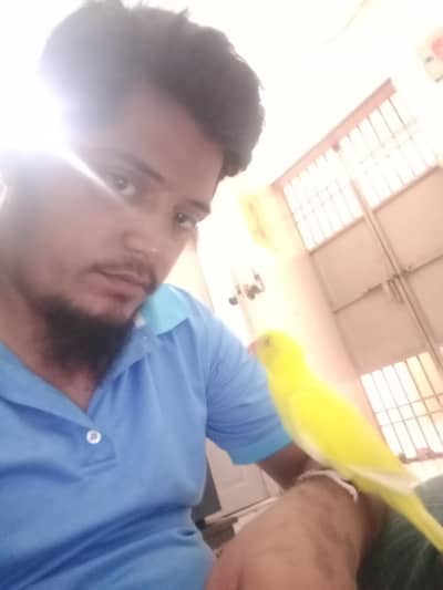 urgent sold out kar raha eid ki waja sai