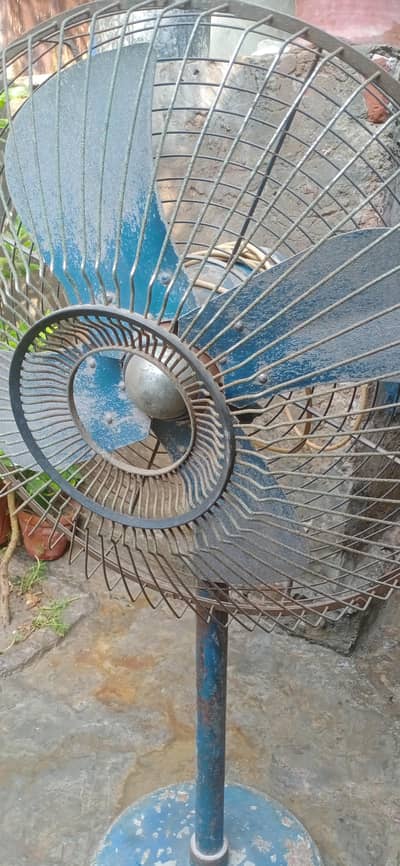 Postal fan