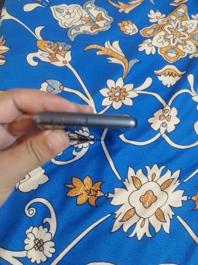 google pixel 7