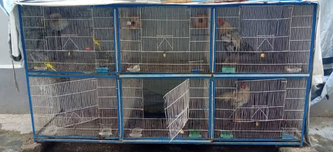 cages/pinjra/brids cage/hen cage