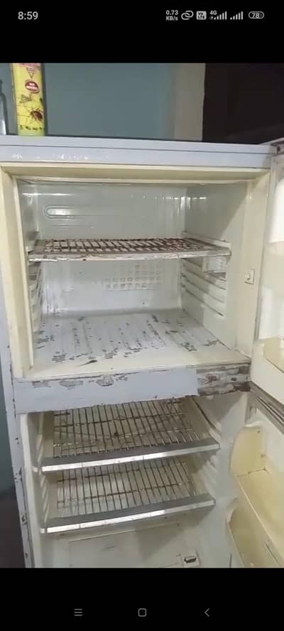 Pel Fridge for sale