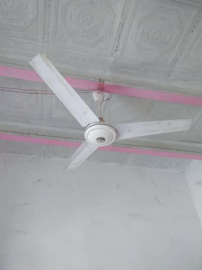 celling fan