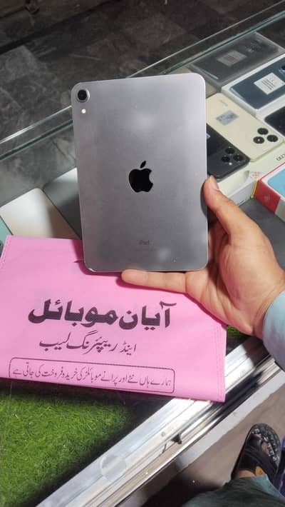 iPad mini 6