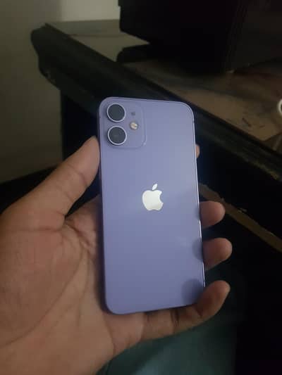 I phone 12  mini
