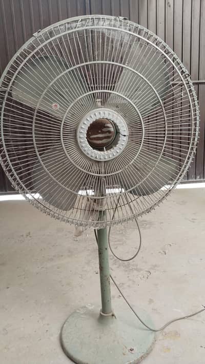 Pedestal fans urgently selling