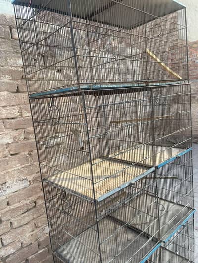 Parrot cage