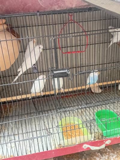 For sale