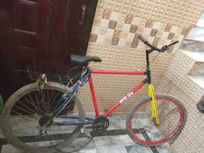 Phoenix fram cycle