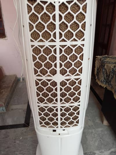 Beetro Electeric Cooler