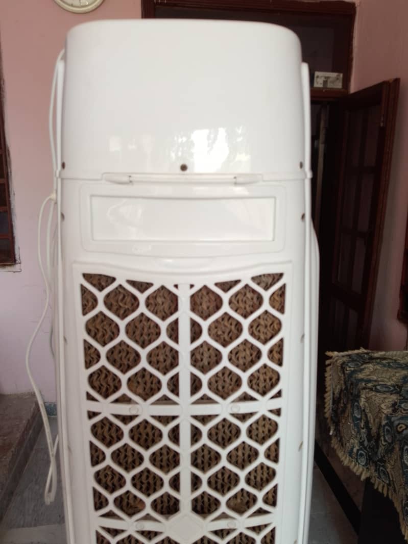 Beetro Electeric Cooler 1