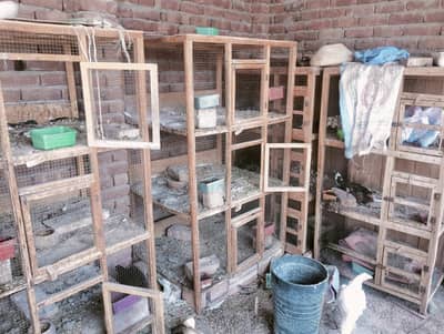 cages for sale