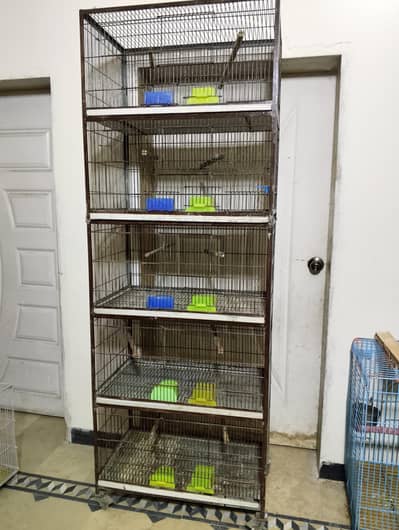 Cages Available For Tamed and Breeding Cages