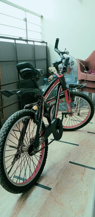 Bicycle Lion King original condition no damage