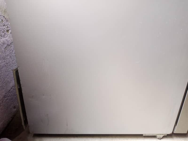 full large size 13