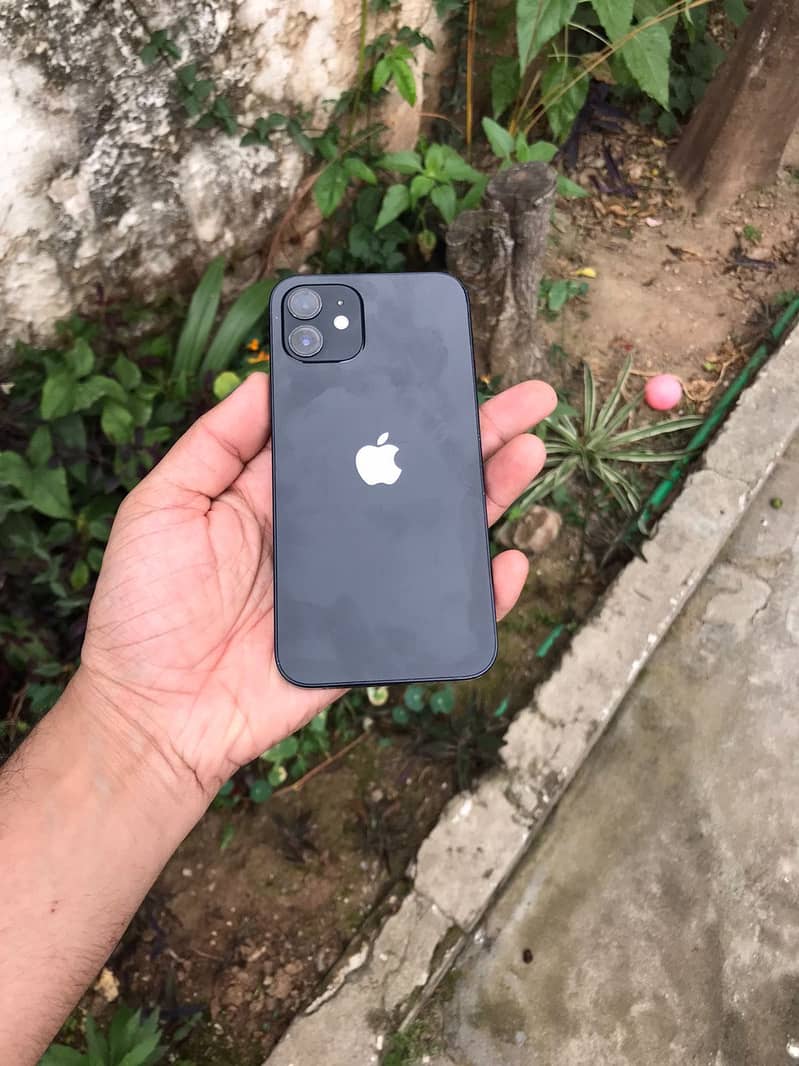 iPhone 12 1