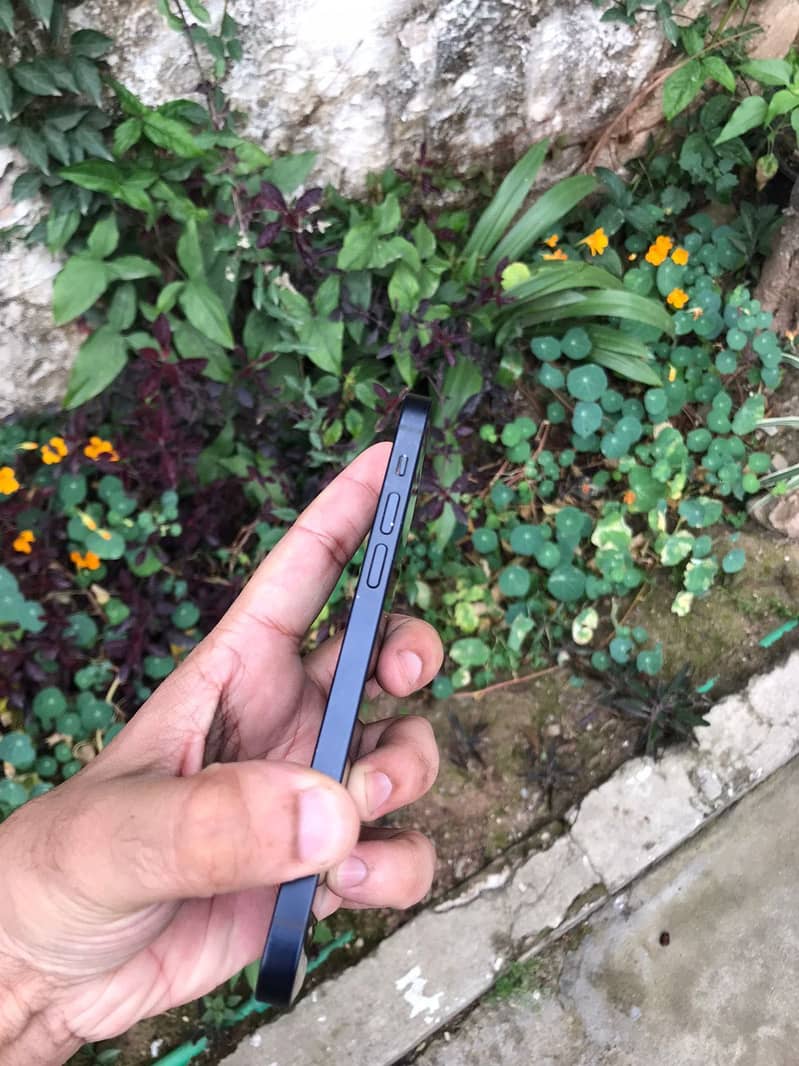 iPhone 12 3