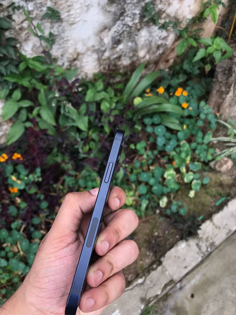 iPhone 12 4