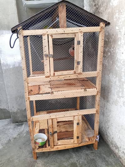 Cage and 5 Birds for sale
