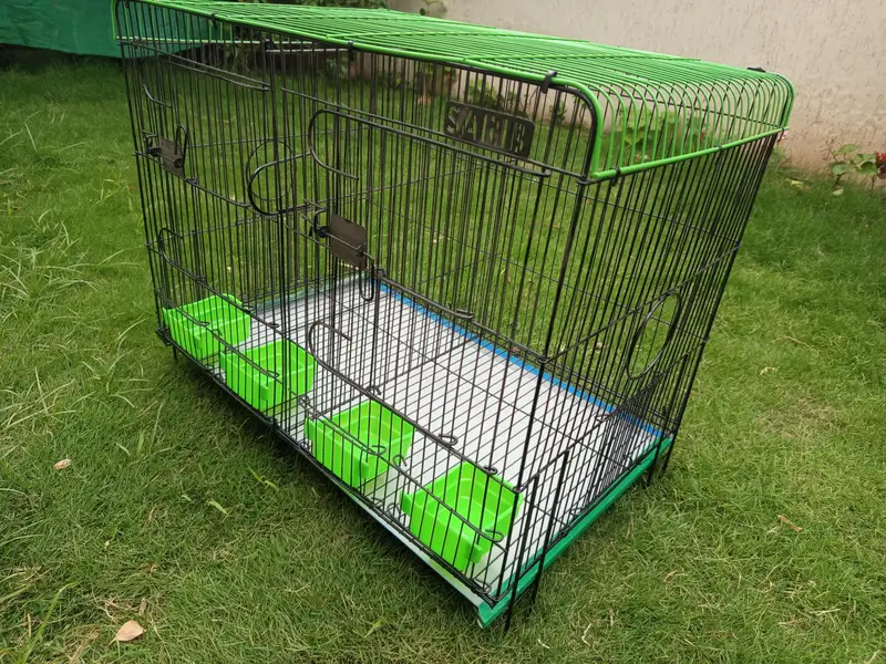 male female canaries red faction r and mozaiq — photo 6