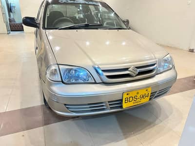 Suzuki cultus