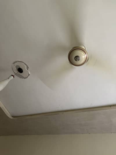 General fan company private limited in offwhite colour