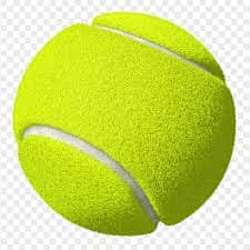 Tennis Cricket Balls