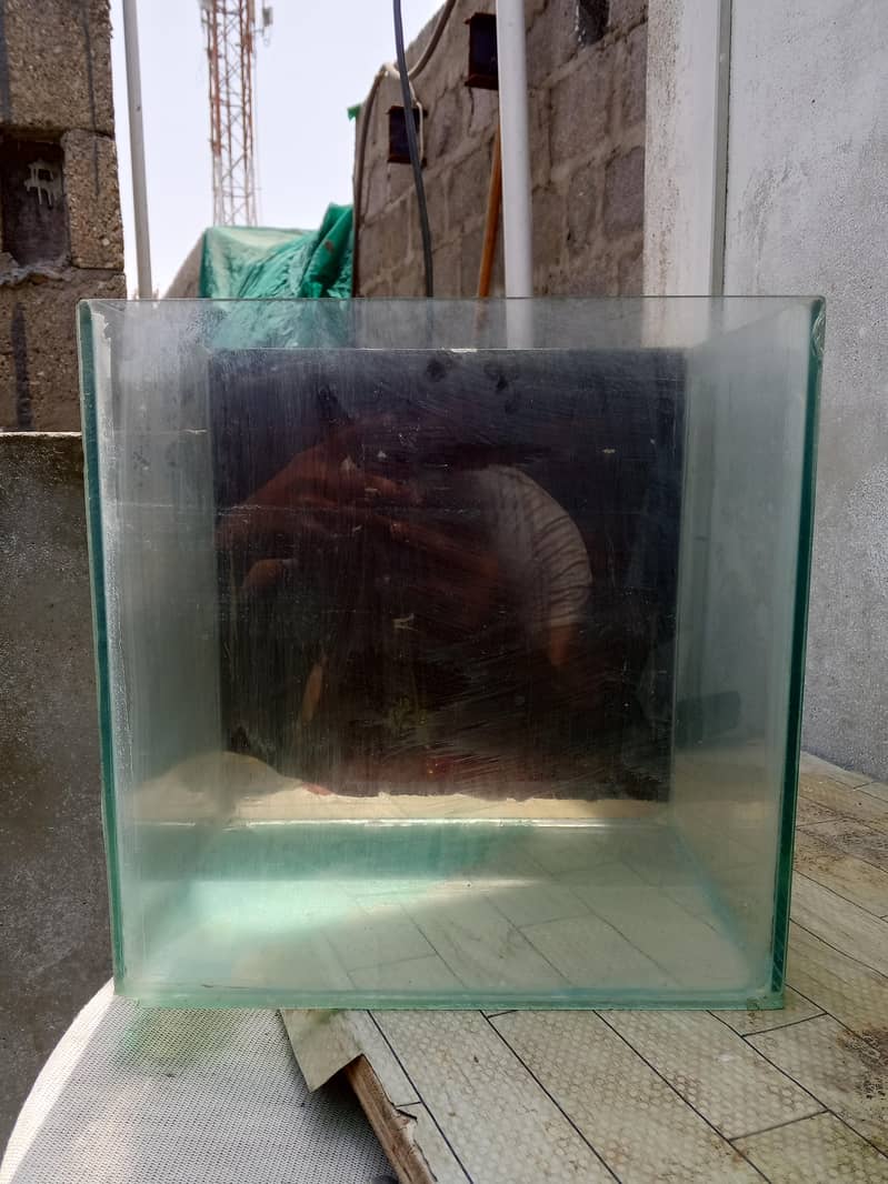 Fish Aquarium 1
