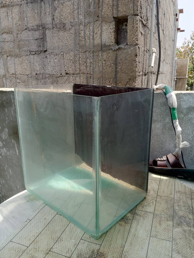 Fish Aquarium 2