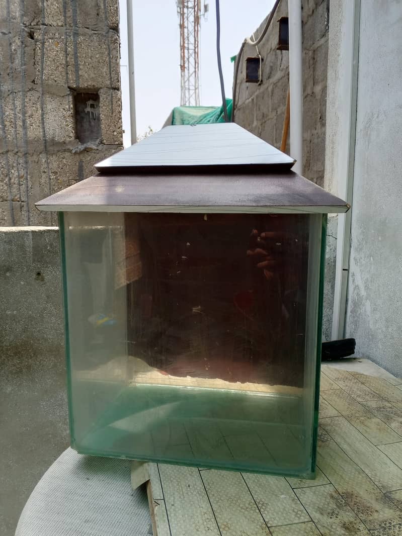 Fish Aquarium 3