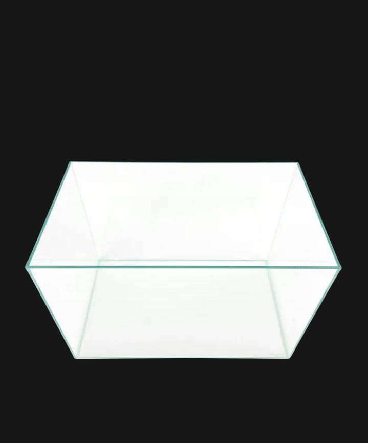 Fish Aquarium 4