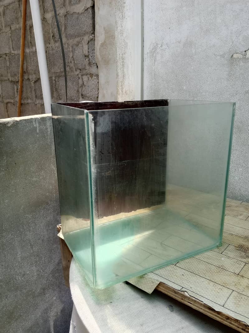 Fish Aquarium 5