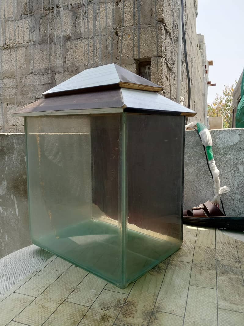 Fish Aquarium 6