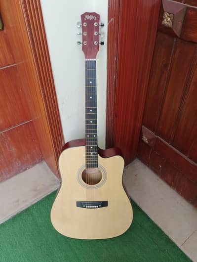 Washburn Apprentice D5CE Acoustic Guitar - Good condition