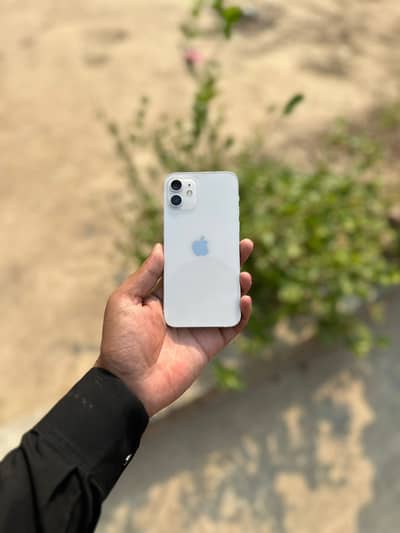 iPhone  12