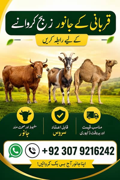 Professional Butcher Services in lahore  | Fresh & Hygienic Qasai