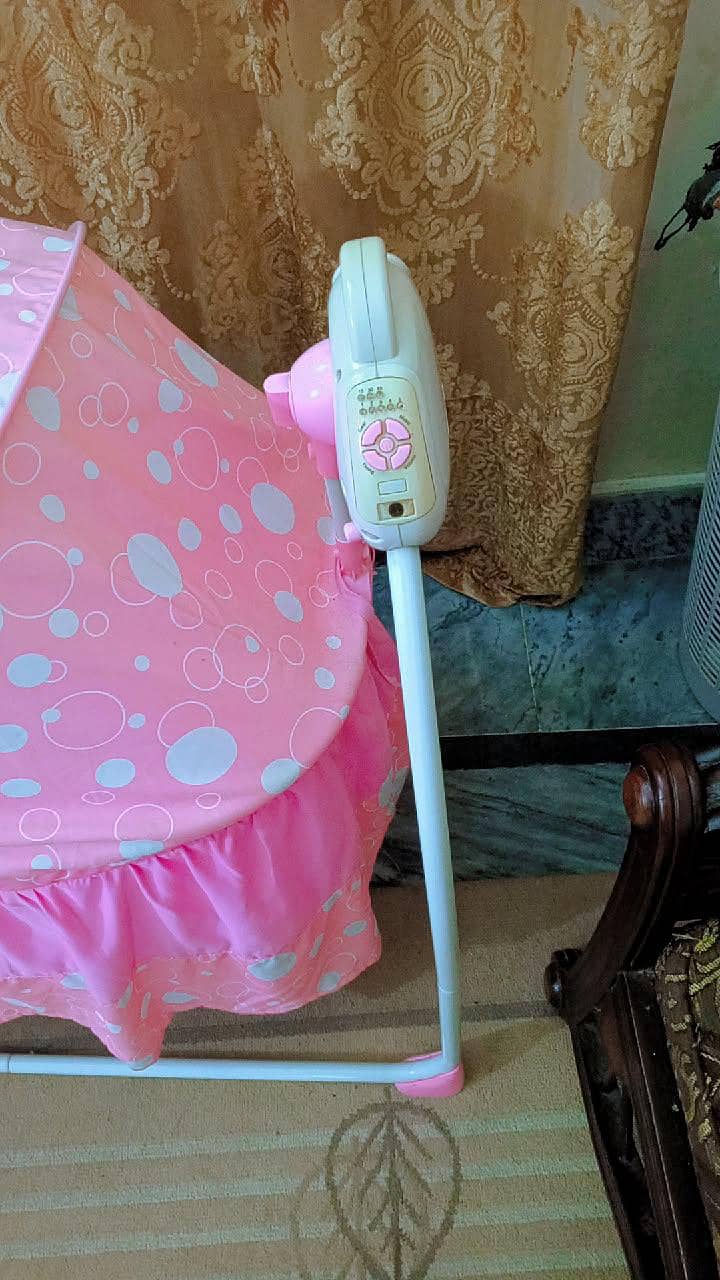 Electric jhola 1