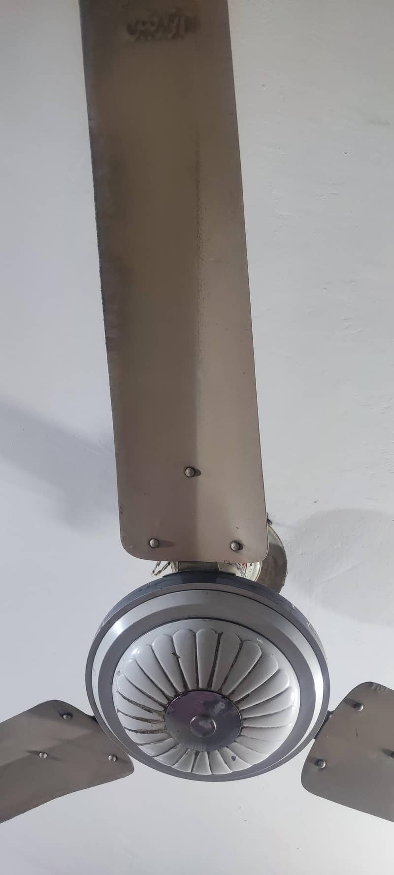 ceiling fans 2