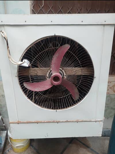 Lohori cooler