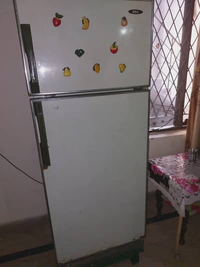 Fridge PEL Jumbo Sized in Wapda Town
