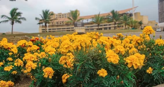 120 Sq. Yds Plot for Sale in Naya Nazimabad Block A | Prime Location | Best Deal