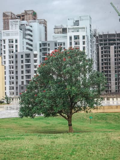 Idyllic Prime Location Residential Plot Available In Naya Nazimabad - Block M For sale